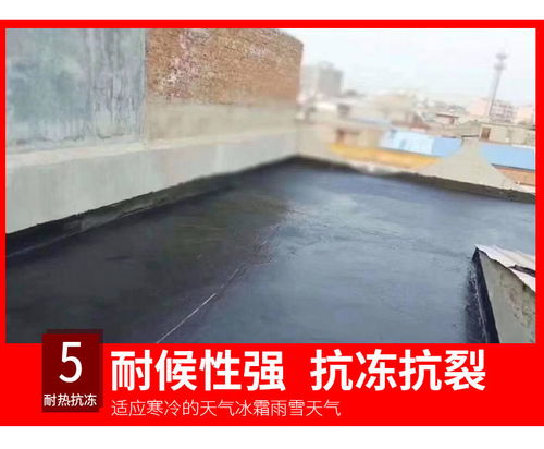 金耐德液体卷材防水涂料高弹性屋顶橡胶防水涂料屋面裂缝补漏材料