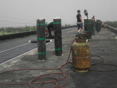 秦皇岛青龙防水材料_建筑材料栏目