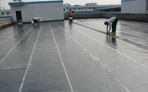 如何鉴定防水卷材和防水涂料的质量？简单几招保障防水效果