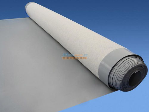 烟台地区防水全解析 材料选择、堵漏技术与工程实践