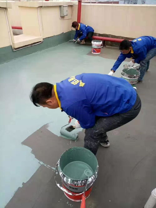 工厂直供 解锁屋顶防水涂料与缝隙补漏材料的高性价比之选